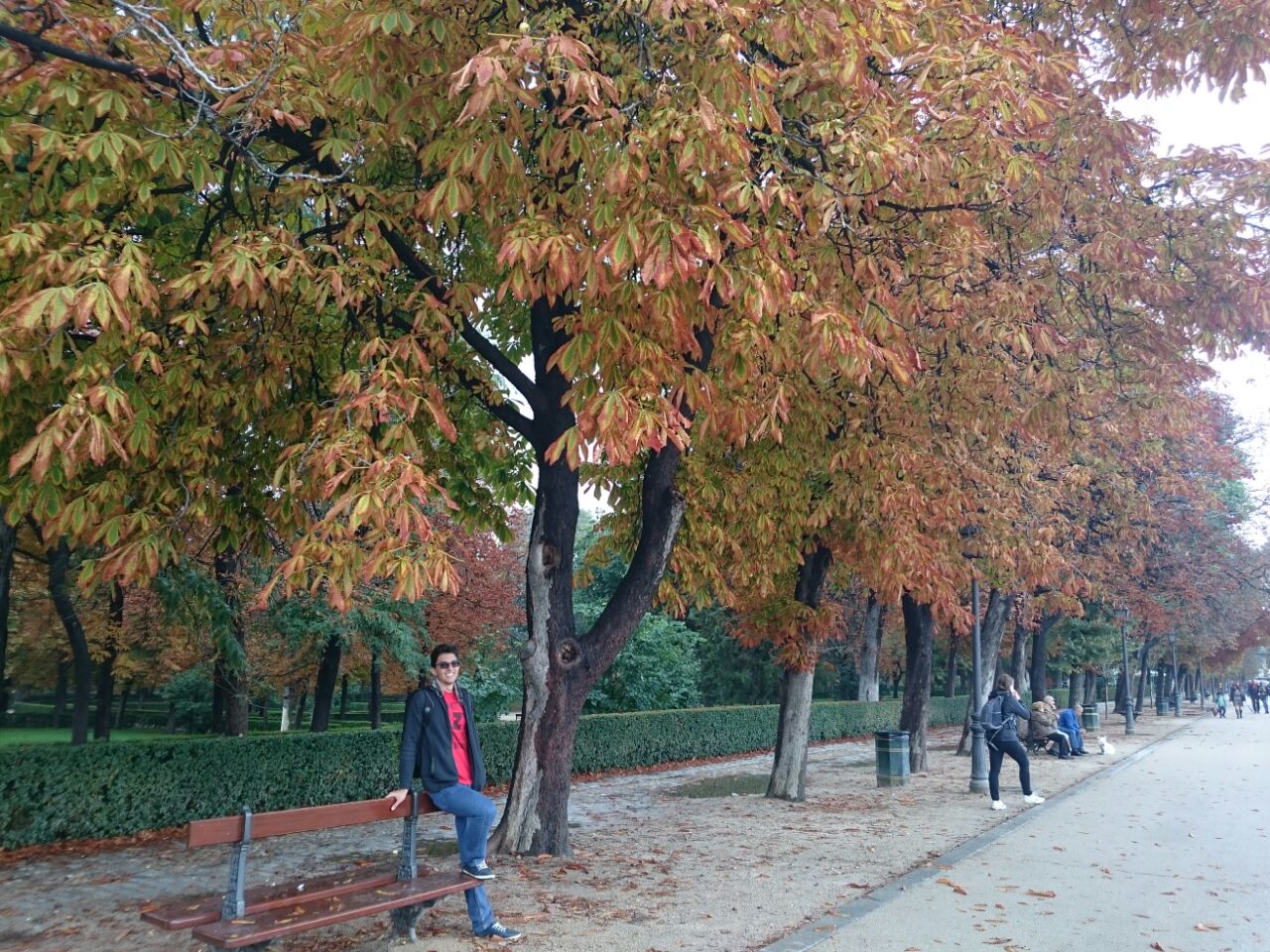 Foto